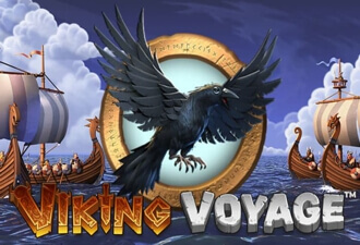 Viking Voyage