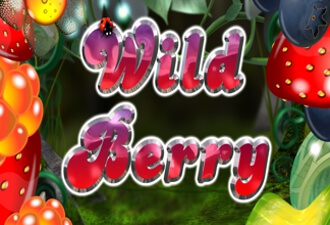 Wild Berry - Video